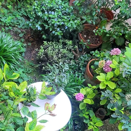 à 20eme Avec Un Petit Jardin Bed & Breakfast
